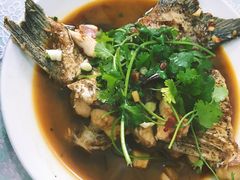 -天乐农家鱼头王(天目湖店)
