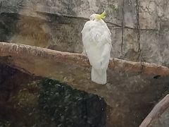 -黔灵山公园