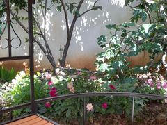 -蘑统田下·野生菌火锅