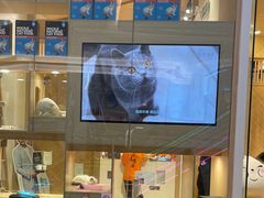 -屋虎猫馆(宝安大仟里店)