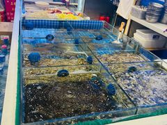 -木木鲜海鲜面(天一店)