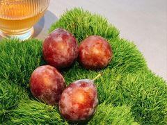 -会仙楼(金融街店)