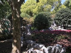 -上海鲜花港
