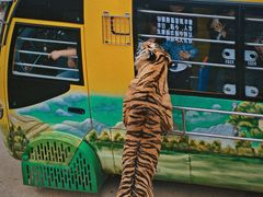 -贵州森林野生动物园