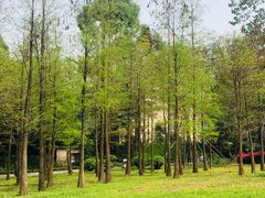 -晓港公园