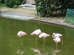 -九龙公园