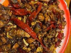 -柴窝堡22号辣子鸡·传承新疆菜