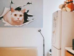 -齐玉齿科JADENTAL