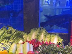 -忆江南·临江鱼馆