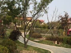 -大连金石滩绿发温泉假日酒店