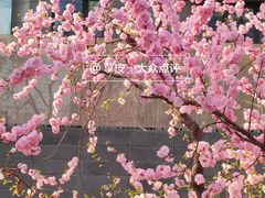-朝阳公园