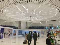 -米兰马尔彭萨国际机场