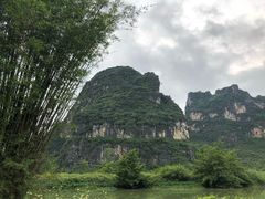 -明仕田园