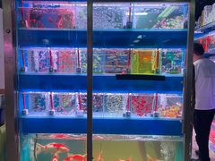 -花鸟鱼虫鲜花绿植市场(玉泉路店)