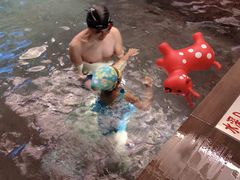 -上海外滩英迪格酒店