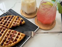 -喵园·猫主题咖啡厅·撸猫·猫咖(国贸店)