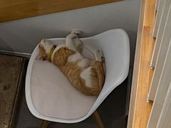 -隹木咖啡馆(宝龙广场店)