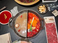 -大龙燚·旷野鲜火锅(广州首店)