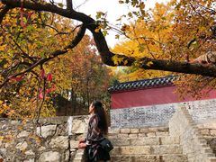 -沂蒙山旅游区云蒙景区(蒙山国家森林公园)