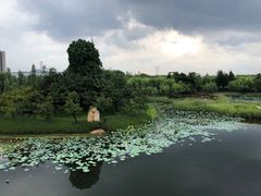 -映月湖公园
