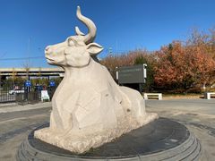 -永定河休闲森林公园