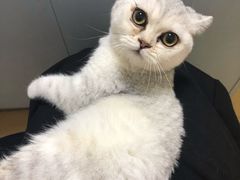-瑞派天宁宠物医院·猫科·异宠中心
