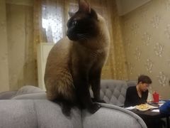 -吱咖啡西式简餐