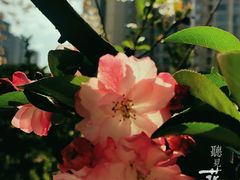 -白鹭湾湿地公园