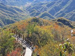 -大岭沟猕猴桃谷风景区