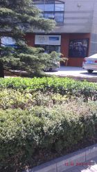 -国际蓝孩(将台路店)