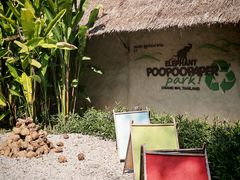 -大象粑粑造纸公园