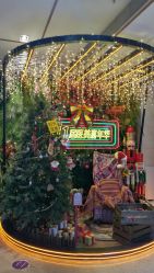 -深圳阳光医疗美容医院·旗舰店