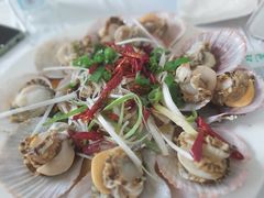油泼扇贝-1910老鲁味海鲜·戳子肉·青岛菜(金沙滩店)