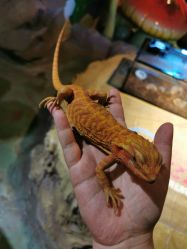 -酷嗒动物文化乐园(cutezoo西溪乐天城店)