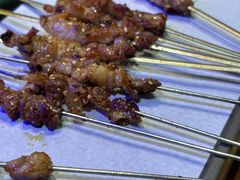 -鼎原力量东北吊炉烧烤(临河街店)