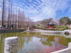 -湛山寺