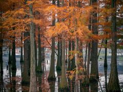 -白鹭湾湿地公园