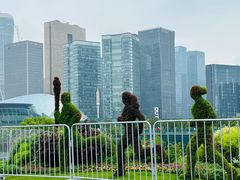 -城市阳台