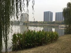 -南翔镇银翔湖公园