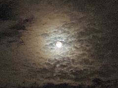 -江南大学(蠡湖校区)