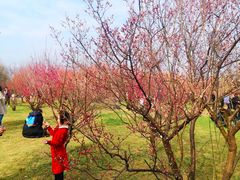 -蜀冈西峰生态公园