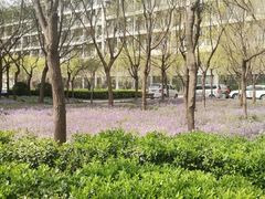-河南财经政法大学(郑东校区)