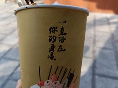-茯茶镇