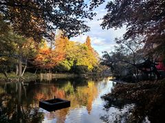 -井之头恩赐公园