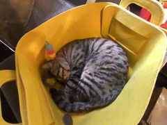 -正阳书局(西四南大街店)