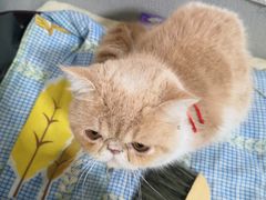 -泰熙家(凤栖原店)