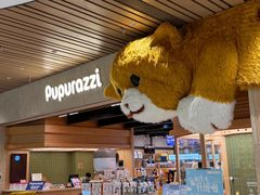 -帕帕拉兹宠物(亚洲旗舰店)