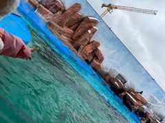 -上海海昌海洋公园