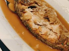 清蒸狮麟鳐鱼-金狮麟·新豫菜(金码大厦店)