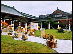 -唐御宴•御宴宫•唐代菜点(芙蓉西路店)